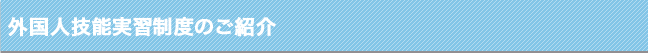 外国人研修のご紹介